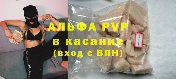 индика Верея