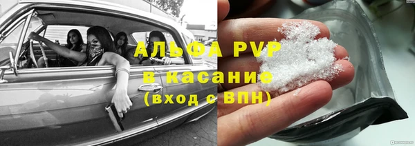 индика Верея