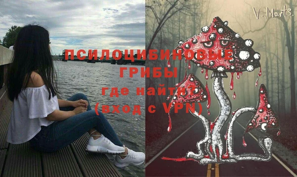 индика Верея