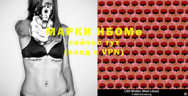 индика Верея